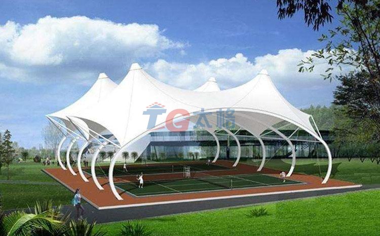連體式尖頂球場膜結構效果圖
