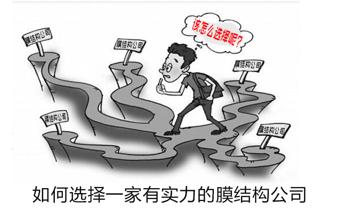 為選擇膜結構公司左右為難